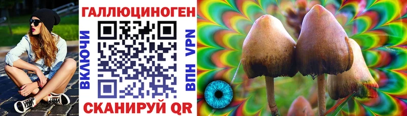 hydra сайт  Струнино  Галлюциногенные грибы Psilocybe 
